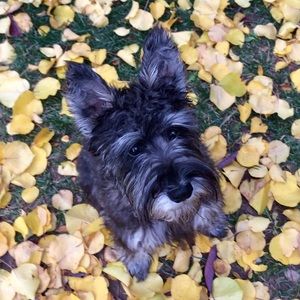 Meet your Posher, Olivia